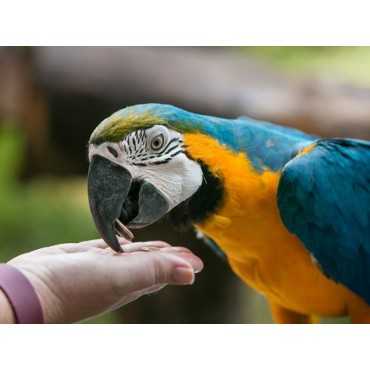 Wildlife Park Langkawi