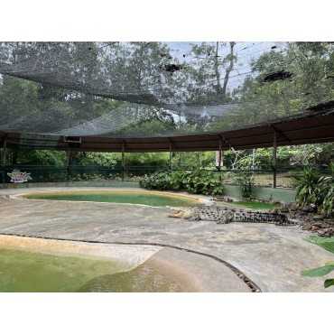 Crocodile Adventureland...